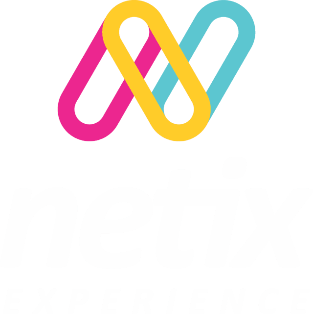 Netix Experience
